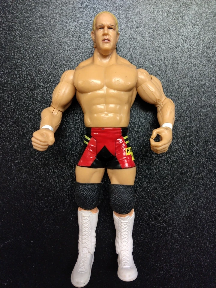 Figura de acción de lucha libre WWE Jakks Pacific Hardcore Holly 2003 luchador WWF ECW  Foto 1 de 4