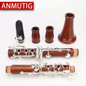 Professional Red Wood 17 Key Bb Clarinet, Rosewood Silvering H32 - Picture 1 of 20