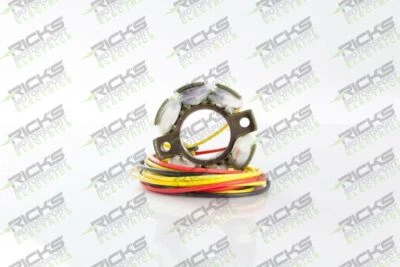 Estator Ricks Hot Shot Series para Suzuki RM250 1994-1997 21-812H Foto 1 de 3