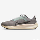 Nike Pegasus 40 PRM Road Running Shoes 'Flat Pewter' (FN7498-012) Expeditedship