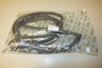 OEM NEW 99-02 DAEWOO LAEGANZA FRONT LEFT DOOR WEATHERSTRIP ON DOOR 96205252 #165 - Image 1 of 4