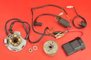 2003 03 Gas Gas EC250 EC 250 OEM Eléctrico CDI Estator Volante Arnés de Encendido - Imagen 1 de 18
