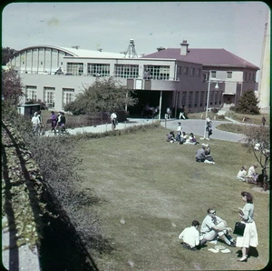 LC37-06 NEW YORK CITY COLLEGES (3) Original 2.25" Film Transparencies MID-1950's - Picture 1 of 3