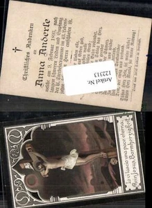 122313,Sterbebild 1893 Freistadt Anna Anderle - Bild 1 von 1