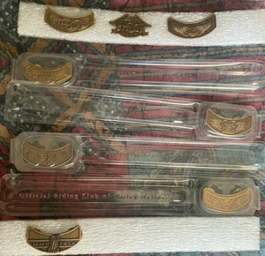 Lot 8 HARLEY DAVIDSON motorcycle NATIONAL HOG VEST JACKET PINs Bike Owners Group - Picture 1 of 11