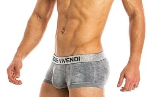 Medium Boxer Brief Modus Vivendi X-Lux Velvet Micro modal Luxury Grey 19821 B47 - Picture 1 of 4