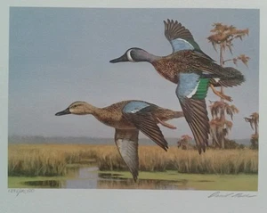 Estampillas de pato David Noll 1989 Louisiana 1st of State 2 e estampado edición limitada - Imagen 1 de 10