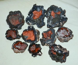 10 PCS LOT Botryoidal Crater Agate Red Fox Orellanita from Patagonia Argentina - Picture 1 of 9