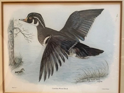 June Bowen Towns "Carolina Wood Duck" Edición Limitada # 142/1000 (17x20) Enmarcado. Foto 1 de 4