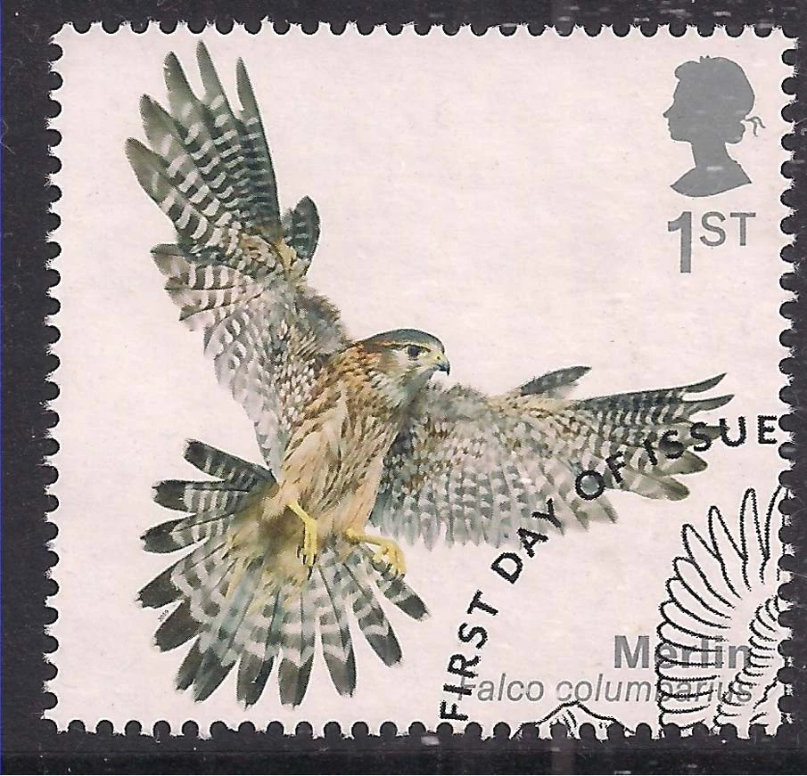 GB 2019 QE2 1st Birds of Prey ' Merlin ' Ex Fdc SG 4201 ( C1379 ) - Image 1 of 1