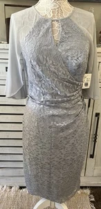 Oleg Cassini grau Glitzer Spitze knielanges Kleid mit Capelet Gr. 12 neu mit Etikett - Bild 1 von 12