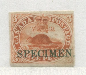 3d Beaver with black SPECIMEN mint no gum - Picture 1 of 1