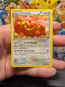 ๐ฅ Ursaring Holo RC16/RC25 Legendary Treasures Radiant Collection Card ๐ฅ - Picture 1 of 5