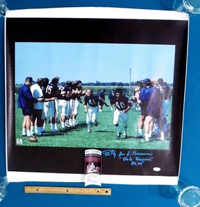BILLY DEE WILLIAMS Signed "Gale Sayers No. 40" Canvas 23.5x23.75 Poster JSA COA - Picture 1 of 9