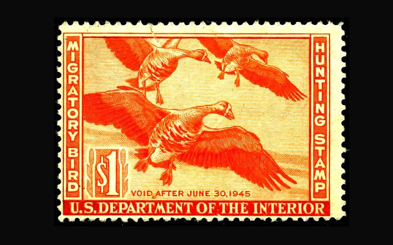 USA Federal Duck Stamp-Mint OG&NH, Fine S#RW11 Never hinged o.g., but has small  - Image 1 of 1