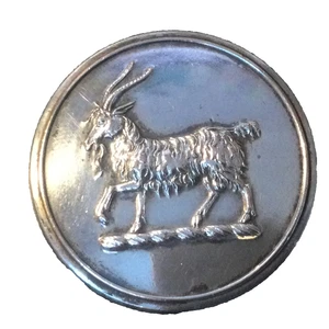 Botón librea The Hay Family Crest.27 mm (AE 029) - Imagen 1 de 5