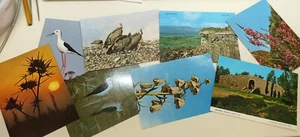 Accumulation of 8 Israel vintage postcards, nature and sites. - Picture 1 of 3