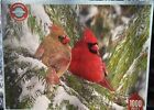New Sealed Springbok 1000 Birds Eye View Cardinal Christmas Jigsaw Puzzle