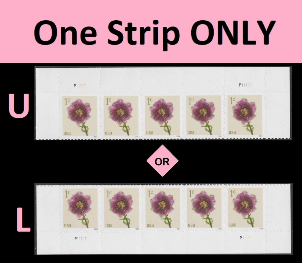 US 5897 Flowers Fringed Tulip 1c plate strip 5 MNH 2024 - Image 1 of 1