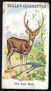 WILLS - ANIMALS & BIRDS - THE AXIS DEER - Picture 1 of 2
