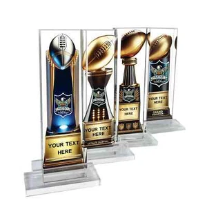 Individuelle Fantasy Football Trophäe - Personalisierte League Champion Acryl Auszeichnung Geschenk - Bild 1 von 11