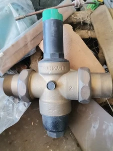 Braukmann Resideo D06F-1B Pressure Reducing Valve DN50 - Picture 1 of 4