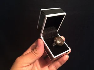 Bague femme réglable Argent Os dinosaure fossile !! Dinosaur Bone fossil ring!! - Imagen 1 de 3