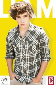 Póster 1D One Direction Liam Payne 2012 22x34 nuevas tendencias 5753 envío gratuito - Imagen 1 de 1