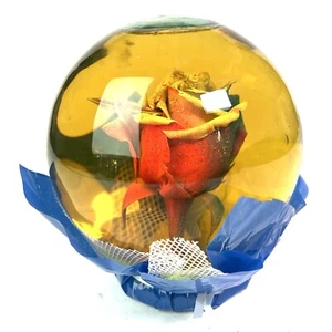 Globo de agua Forever ROSE en vidrio grande transparente flor real vintage rojo amarillo - Imagen 1 de 8