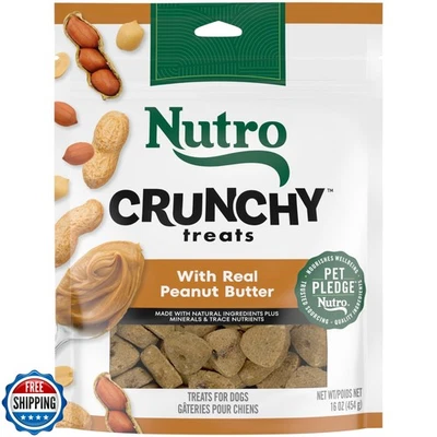 Nutro Crunchy Dog Treats with Real Peanut Butter, 16 oz. Bag - Image 1 of 4
