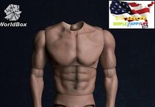 WorldBox AT017 1/6 Muscular No Neck Body Strong Durable 12" FOR HOT TOYS ❶USA❶