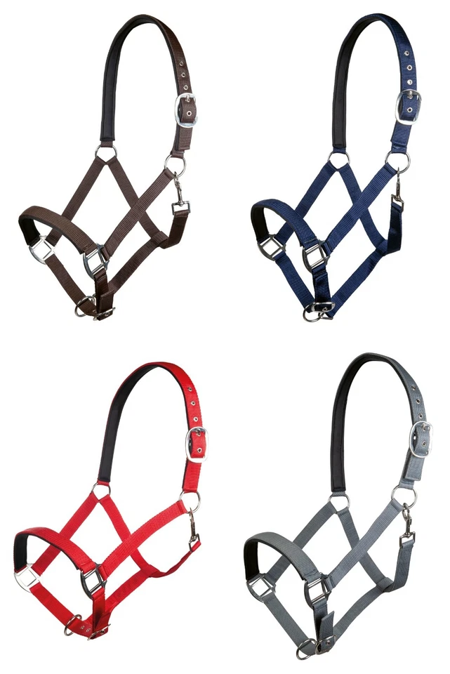 Halfter -Charming- weich unterlegt Kaltblut viele  Farben  HKM 13429 Neu - Bild 1 von 1