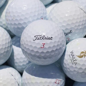 100 Titleist Pro V1x Used Golf Balls 3A / AAA Quality - FREE SHIPPING! - Picture 1 of 9