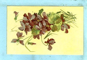 Vintage, Flower Pictures, Pretty Purple Violet Boquet.... - Picture 1 of 2