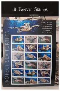 (2) USPS Sea Turtles Full Sheets of 18 Forever Stamps 36 Stamps Value 26.28 - Picture 1 of 2