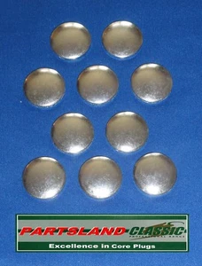 Freeze Dish Welch Core Plug Plated 20.64mm 13/16" - 0.8125" 10 pack - Picture 1 of 3