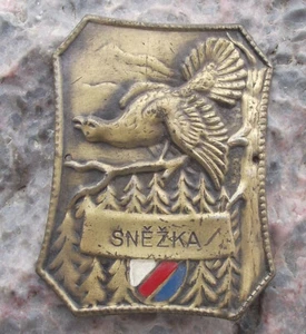 Vintage Snezka Mountain Grouse Hunter Metal Walking Stick Shield Stocknagel - Picture 1 of 2