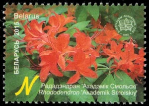 BELARUS 943 - Botanical Gardens "Rhododendron" (pb93794) - Picture 1 of 1
