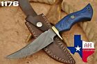 Hand Forged Damascus Steel Hunting Knife W/ Stain Wood & Brass Guard Handle 1176