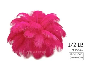 1/2 Lb. 19-24" Hot Pink Ostrich Large Wholesale Feathers Centerpiece Mardi Gras - Picture 1 of 11