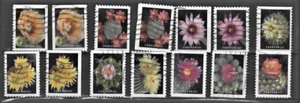 USA 2019 used Stamps Set of 14 different Cactus Flowers Condition Fine - Picture 1 of 1