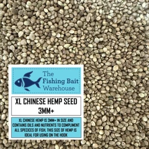 Chinese XL Hemp Seed 3mm+ - Carp, Fishing, Dry, Particle, Hookbait, Bream, Tench - Picture 1 of 1