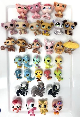 LOTE de 33 LPS Cerdos Osos Conejos Rafetas Pájaros #2273 Planeador de Azúcar Sello Perezoso +++ Foto 1 de 4