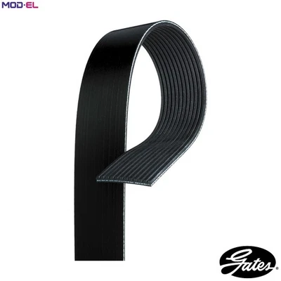 VRIBBED BELT 12PK717 - Image 1 of 4