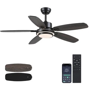 Ceiling Fan with Light and Remote/APP Control,50" Modern Indoor Ceiling Fan w... - Picture 1 of 9