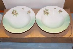 Vintage Pair of UP Railroad Desert Flower Soup Bowls Excellent Condition - Picture 1 of 5