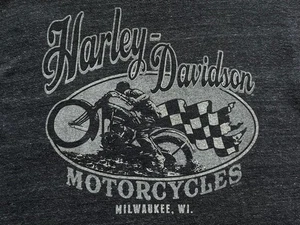 Camiseta Harley Davidson Bandera a Cuadros Talla L Gris Oscuro Para Hombre De Japón - Imagen 1 de 24