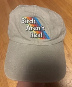 Cappello da baseball regolabile Birds Aren't Real berretto arcobaleno teorico della cospirazione regalo - Foto 1 di 5