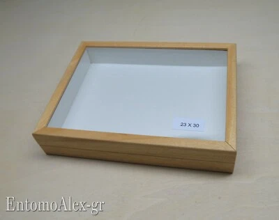 scatola entomologica legno CHIARA 23X30 plastazote entomologia cassetta insetti - Immagine 1 di 4