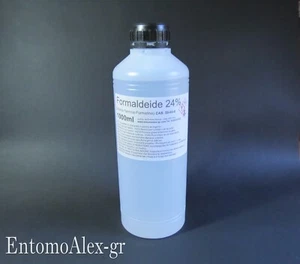 Formaldeide 24% 1lt Aldeide formica Formalina battericida PROFESSIONALE lernaea - Foto 1 di 2